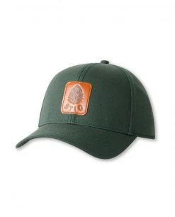 Stio Men Pine Arc Snap Back