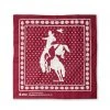 Stio Rodeo Bandana Men