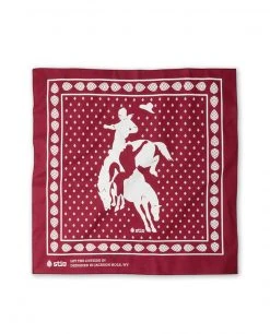 Stio Rodeo Bandana Men