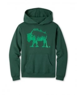 Stio Kids Bison Perch Hoodie Hoodies