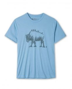 Stio Men's Bison Perch Tee