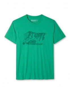 Stio Mountain Towner Jackson Hole Tee