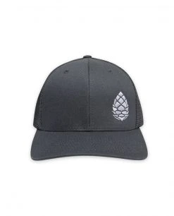 Stio Whitebark Pinecone Trucker Men