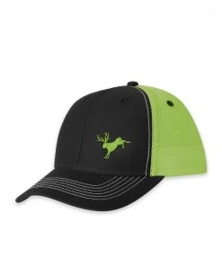 Stio Kids' Bucking Jack Trucker